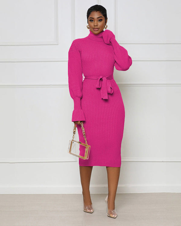 Fine Line High Neck Sweater Dress