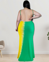 Multicolored Backless Maxi Dress